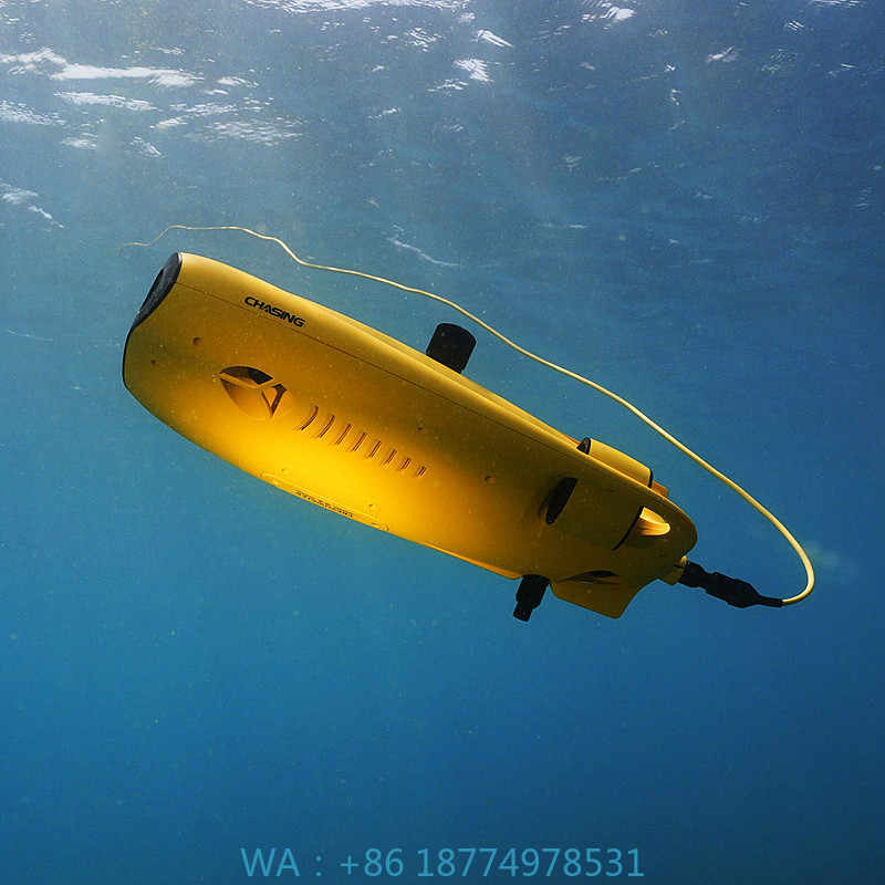 アルヴァージュ 救助装備 水泳可能 ダイビングギア アクセサ - Fishing Gps のレビューと価格